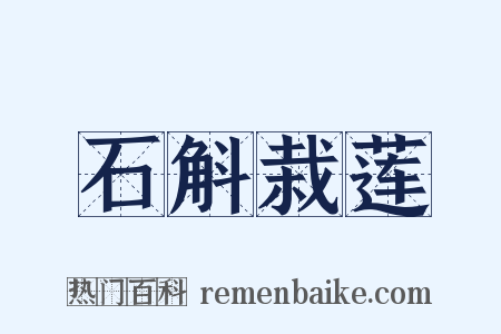 石斛栽莲是什么意思的图片